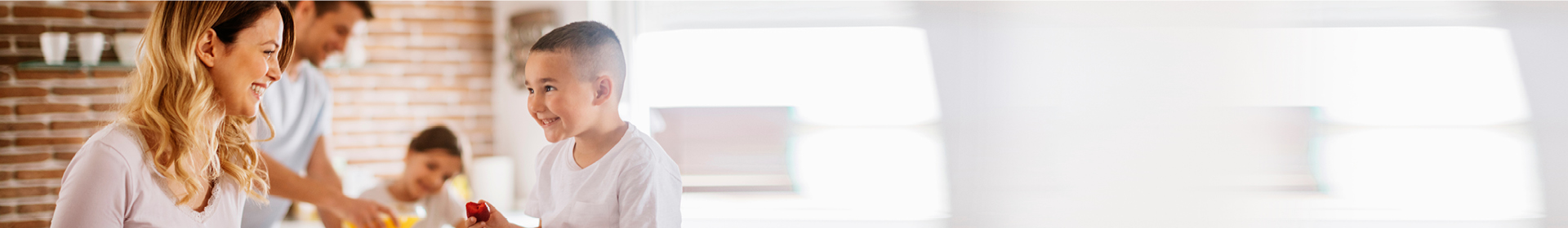 תוצאות חיפוש